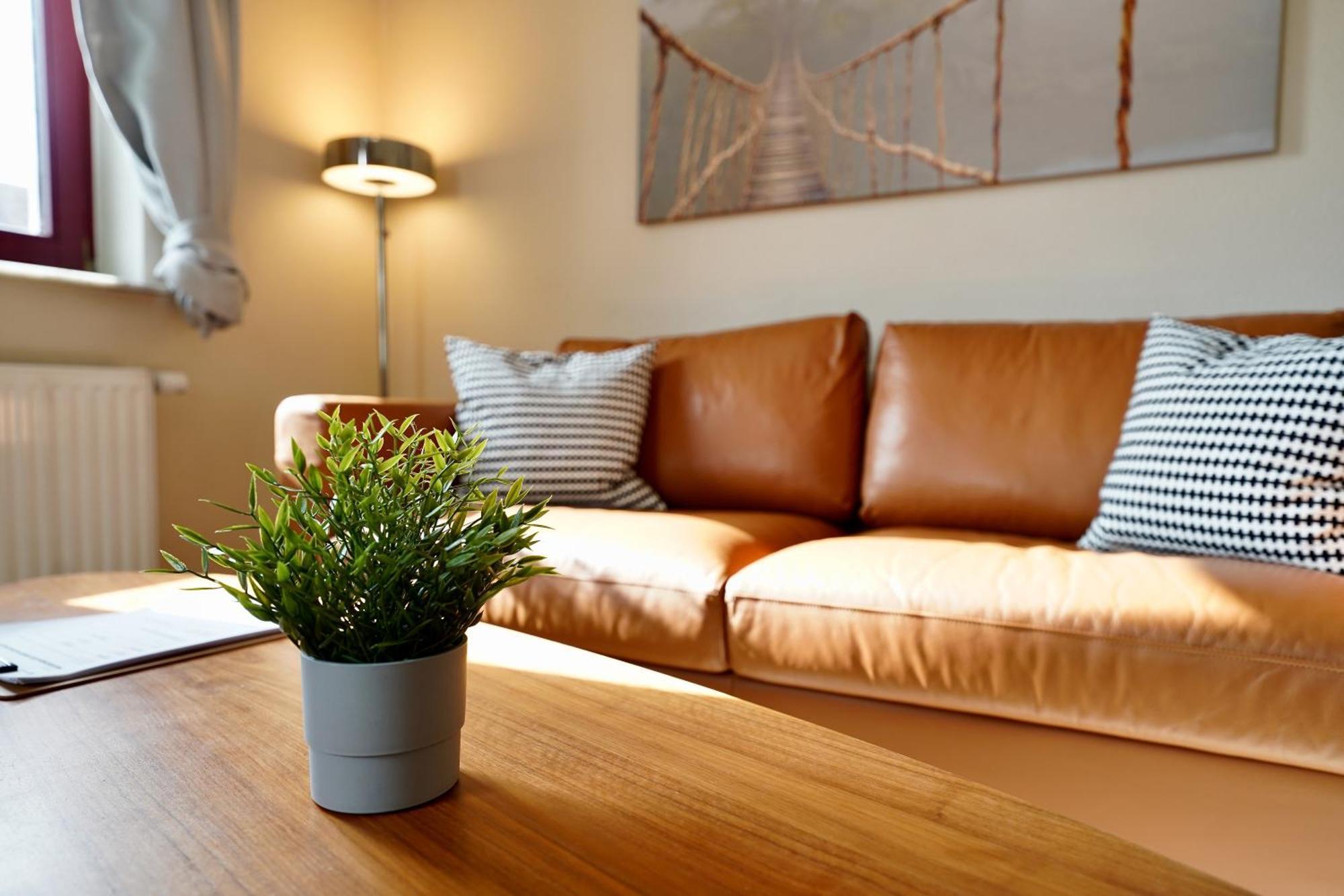 Edler Wohnraum Noble Stadtoase Mit Boxspringbett, Kaffeevollautomat & Parkplatz Zwickau Ngoại thất bức ảnh